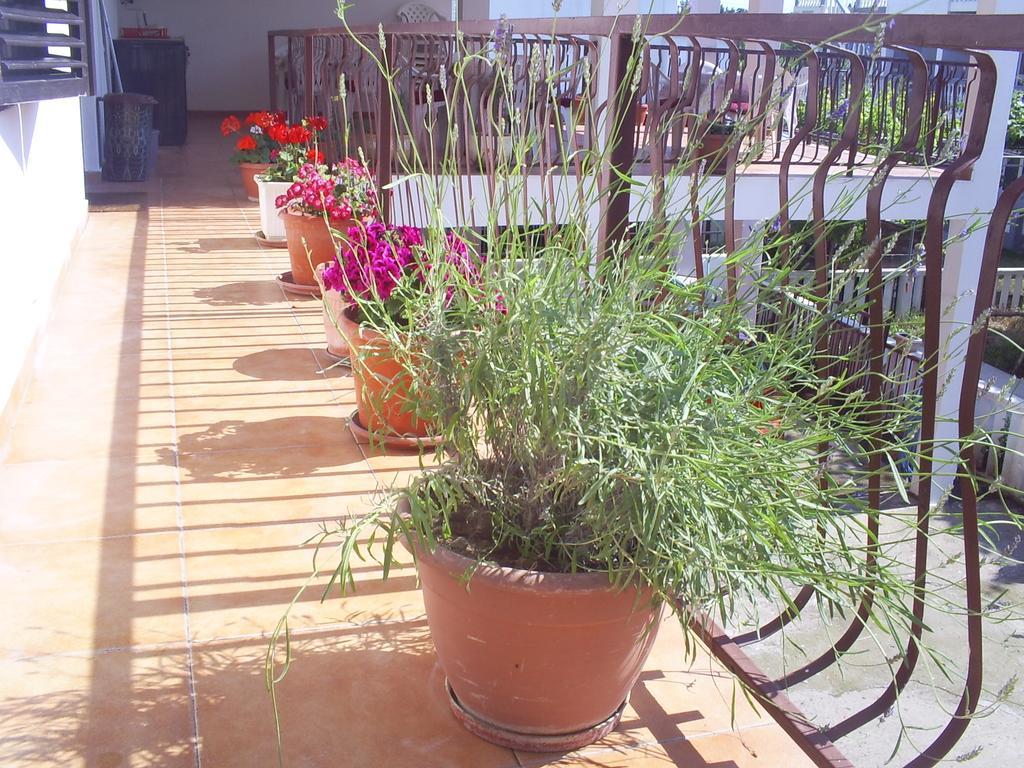Apartmani Dado Ulcinj Bagian luar foto